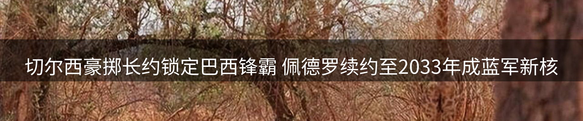 体育资讯