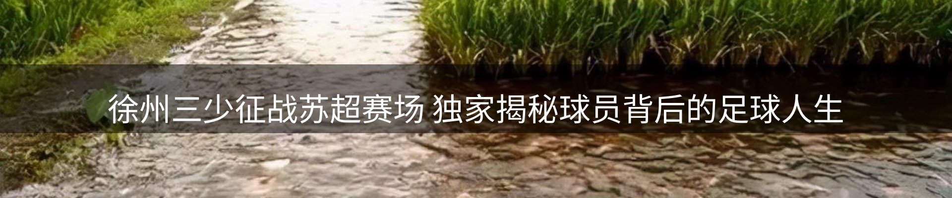 体育资讯