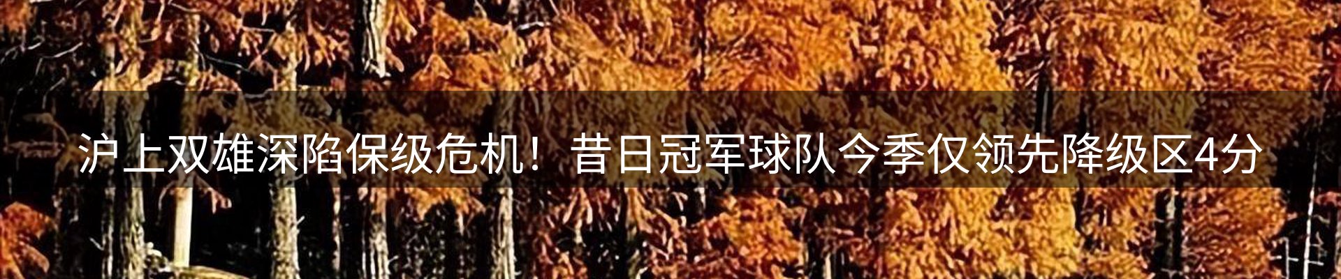 体育资讯