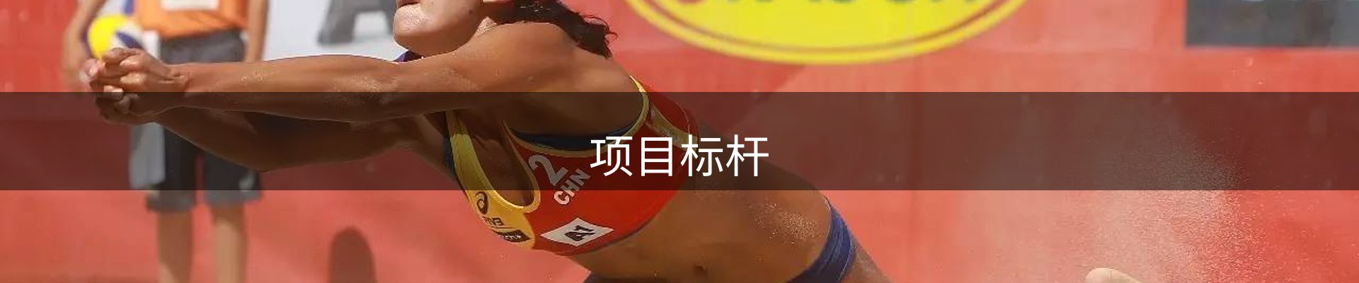项目标杆