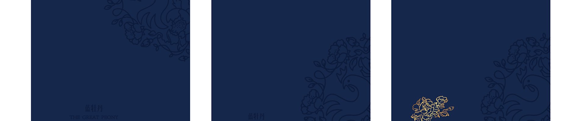 体育资讯